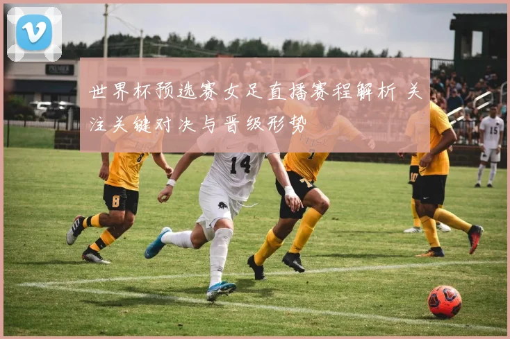 世界杯预选赛女足直播赛程解析 关注关键对决与晋级形势