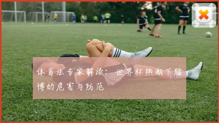 体育法专家解读：世界杯热潮下赌博的危害与防范